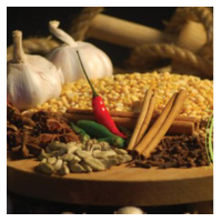 Kosheli Thakali Kitchen